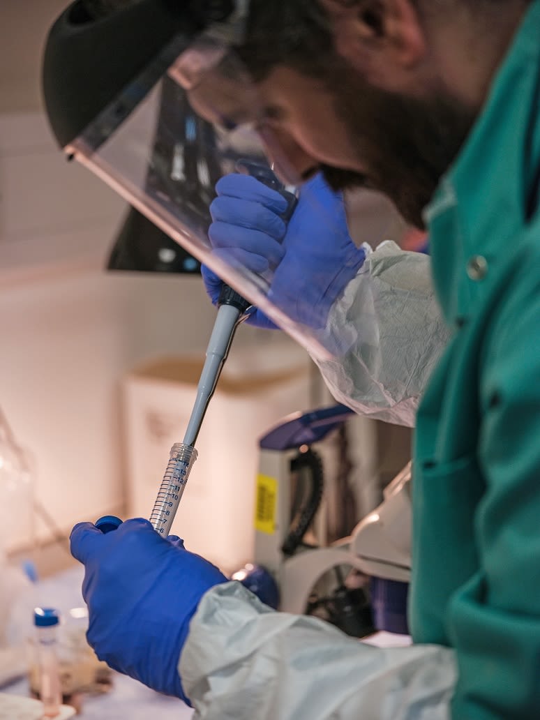 Wellcome Sanger Institute, technology translation, malaria case studies