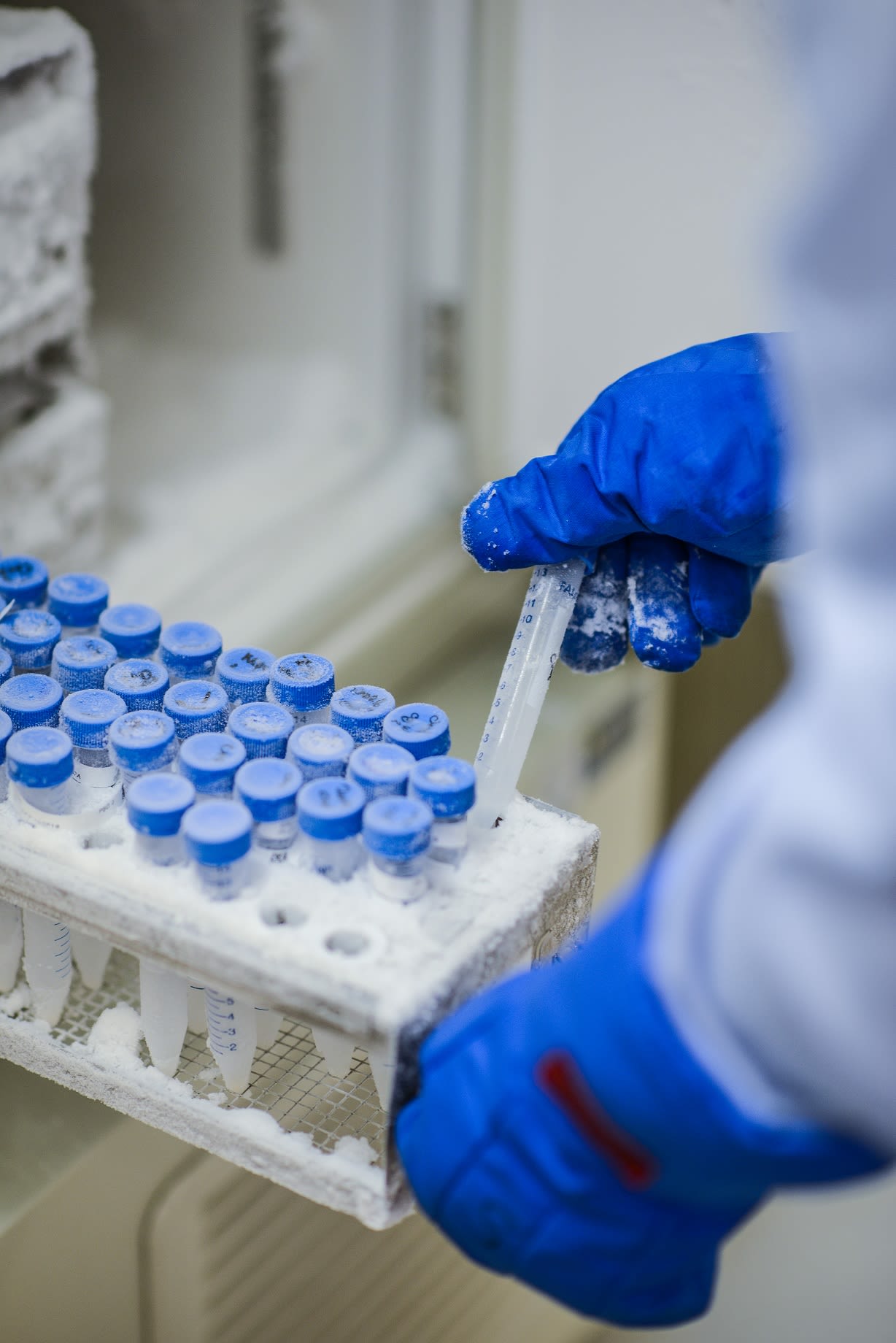 Wellcome Sanger Institute, malaria case studies